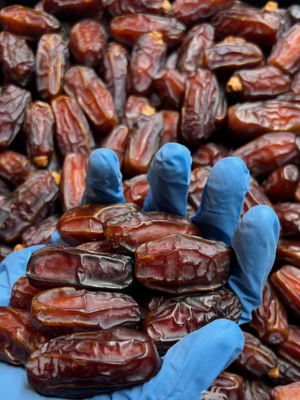 Premium Mabroom Dates
