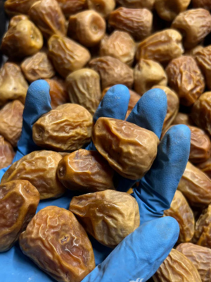 Premium Sukkari Dates